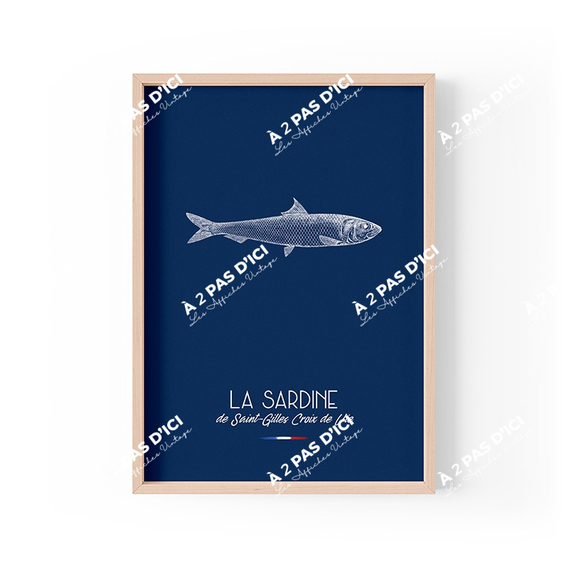 Affiche - Generaliste - La sardine